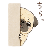 844946951