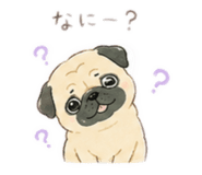 844946956