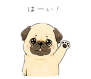 844946977