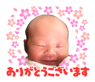 844947155