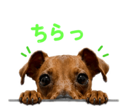 844947399