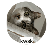 844947542
