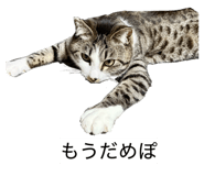 844947543