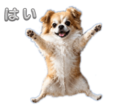 844947861