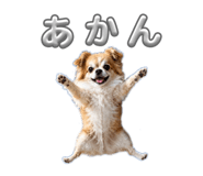 844947864