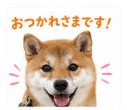 844947914