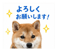 844947920