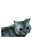 844948023