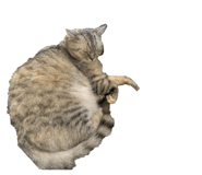 844948034