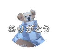 844948300
