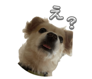 844948304