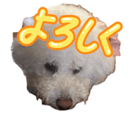844948440