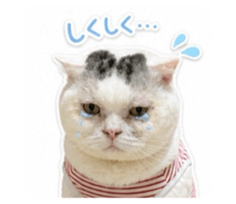 844948550