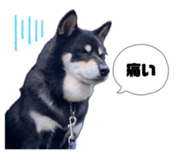 844948568