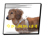 844948762