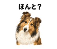 844949004