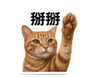 844949846