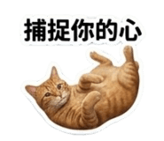 844949847