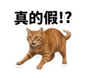 844949852