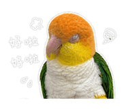 844949927