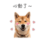 844949969
