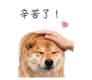 844949977