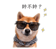 844949980