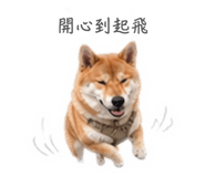 844949981