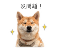 844949983