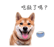 844949988