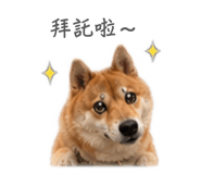 844949990