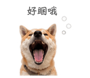 844949999