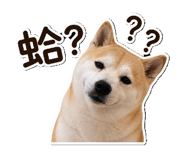 844950396