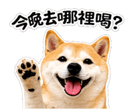 844950397