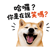 844950400