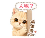 844950508