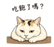 844950638