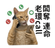 844950667