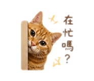 844950850