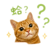 844950857