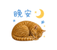 844950861
