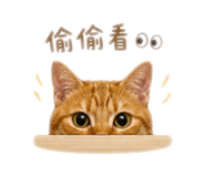 844950862