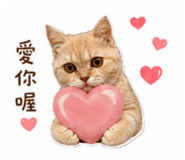 844950984
