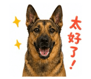 844953809