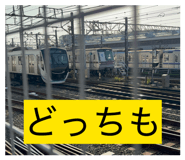 844954856