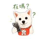 844955242