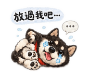 844955278