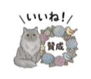 844955511