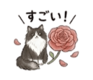 844955516