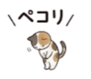 844955519